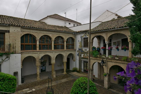 Zoco view 1