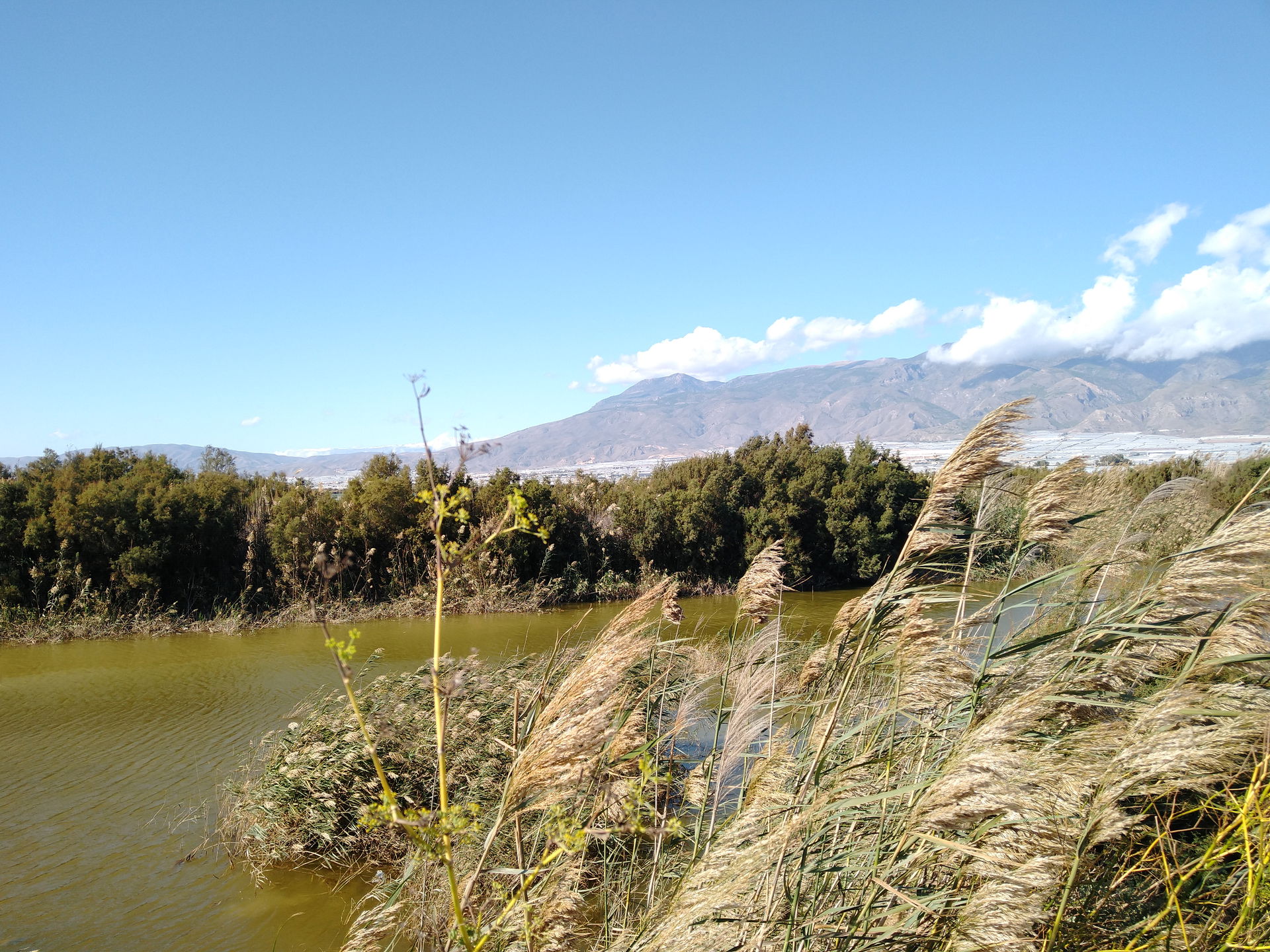 La Cañada view 2