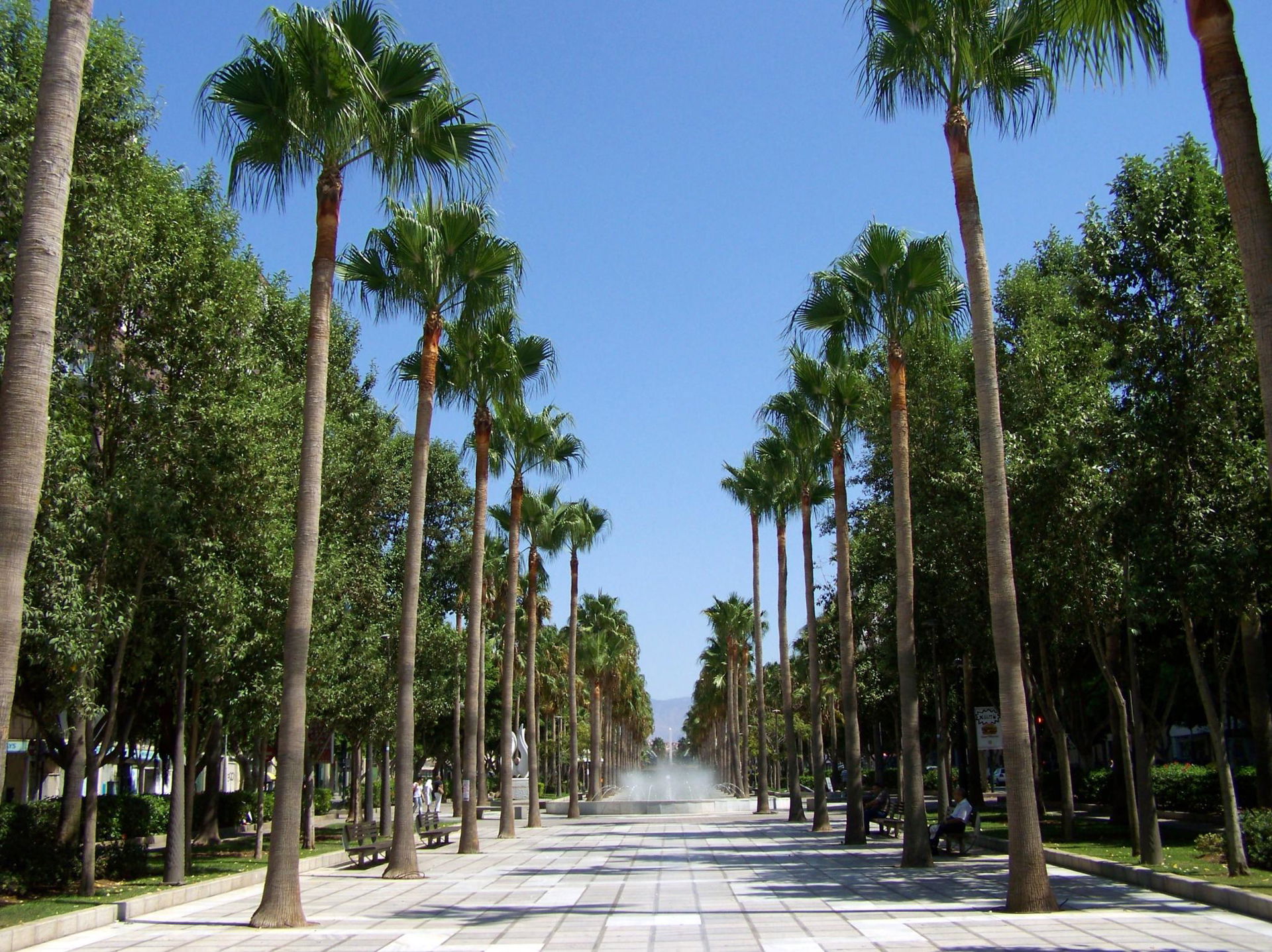 La Rambla view 3