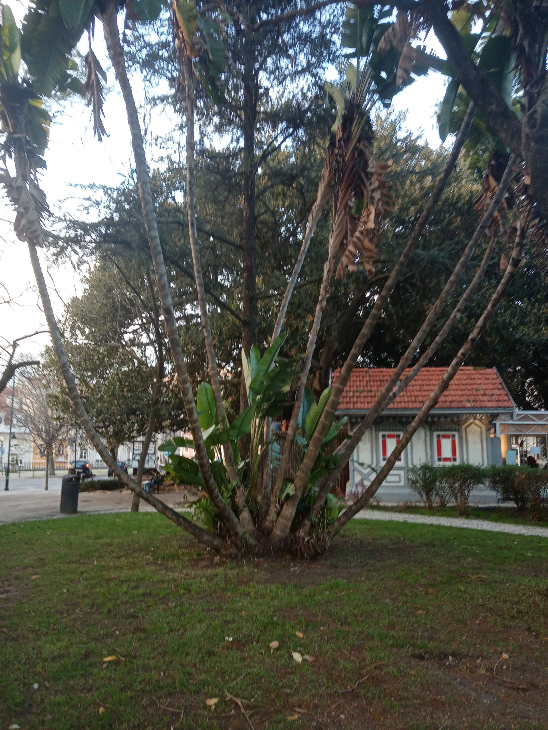 Jardim Real view 2