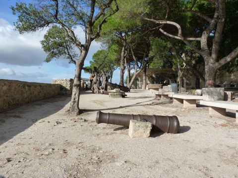 Jardim São Jorge view 2