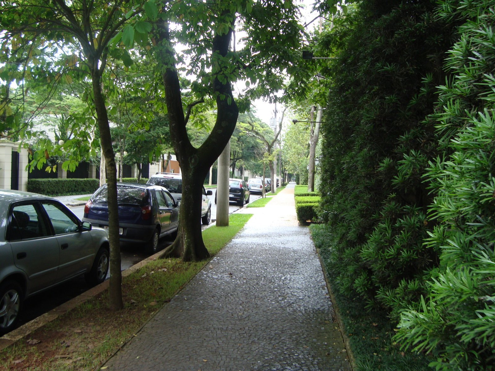 Jardim América district