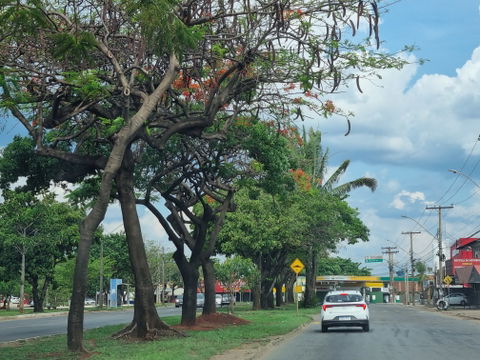 Jardim Guanabara view 2