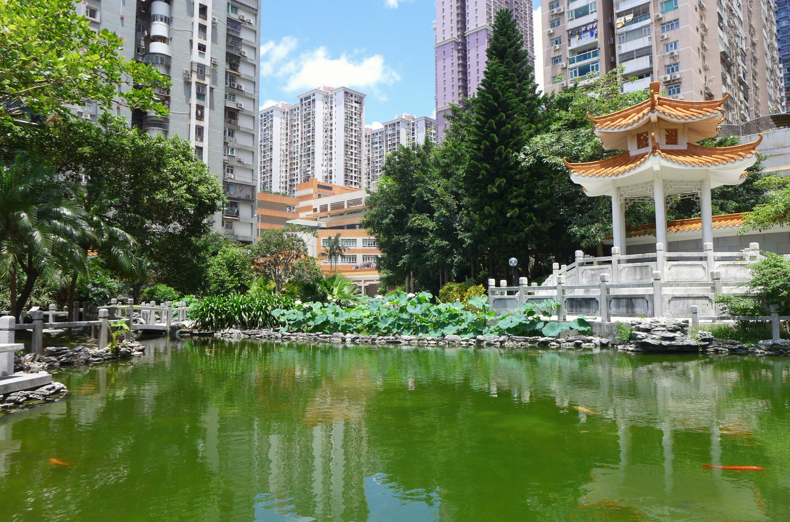 Jardim das Flores district