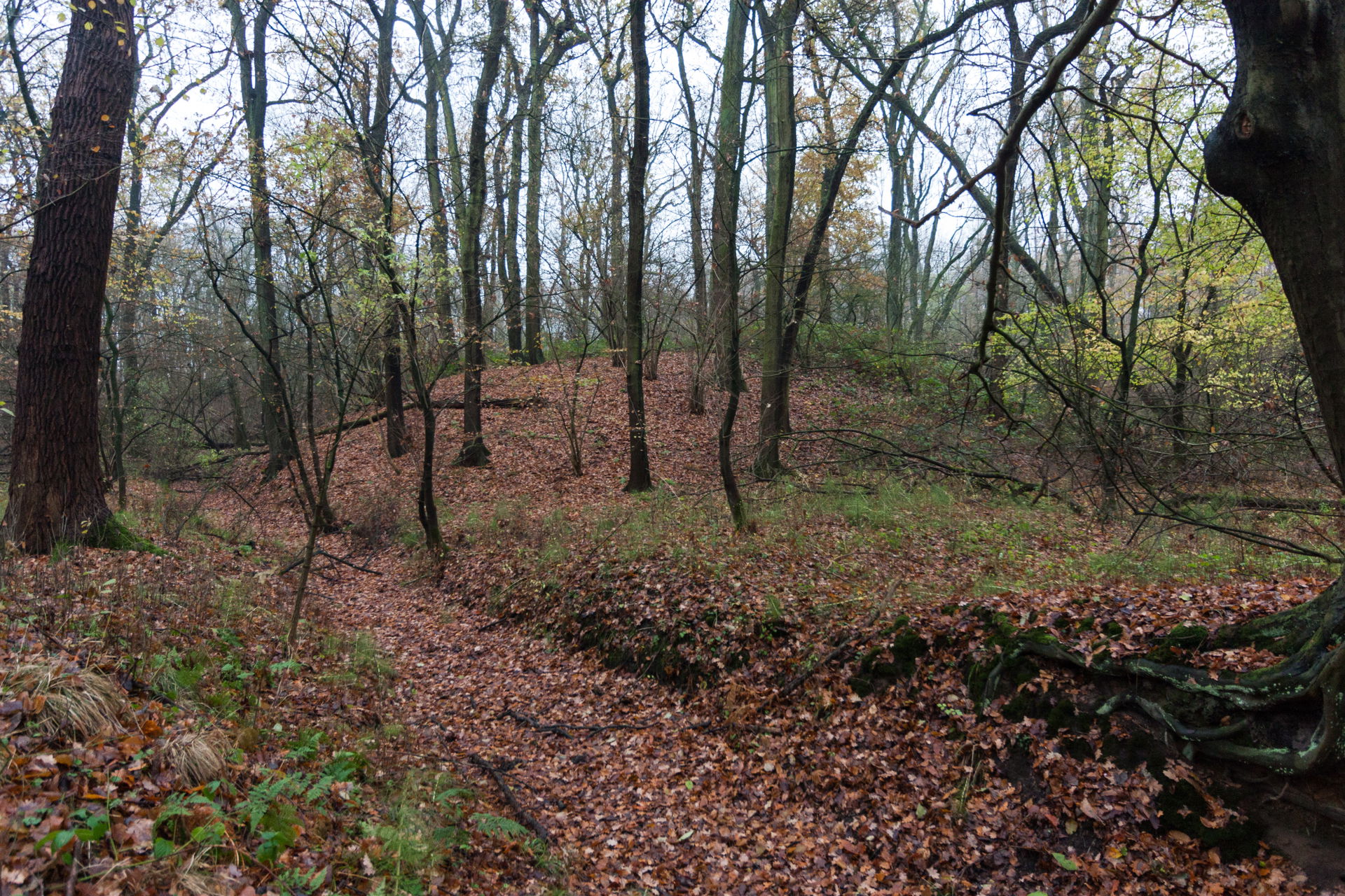 Suderwich view 1