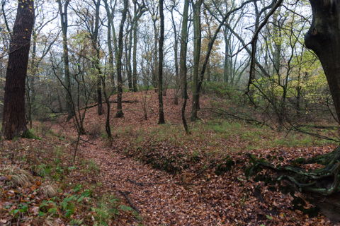Suderwich view 1