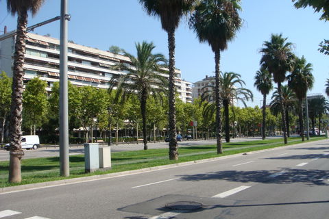 Les Corts view 2