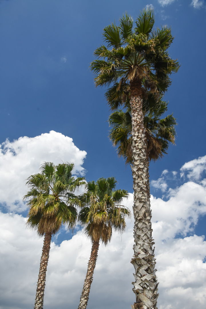 Galatsi district