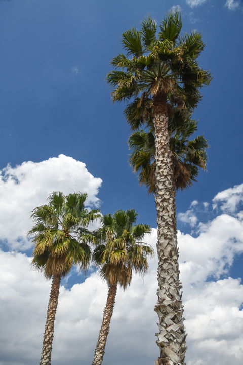 Galatsi view 2