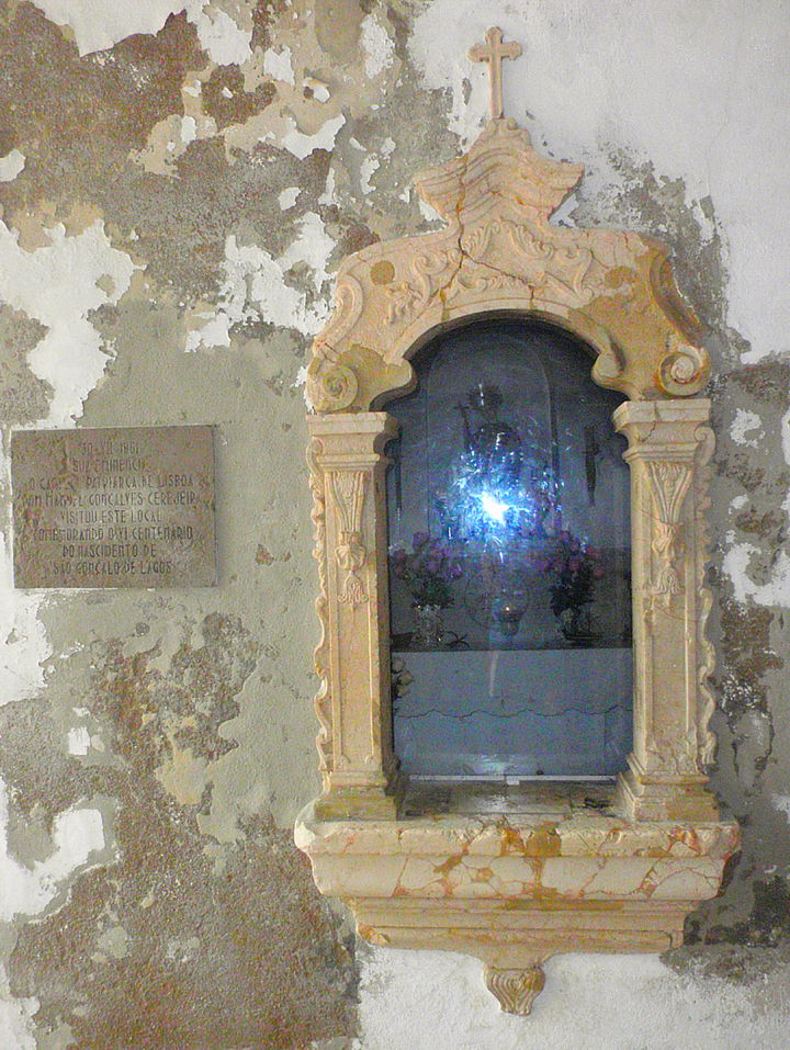 São Gonçalo de Lagos district