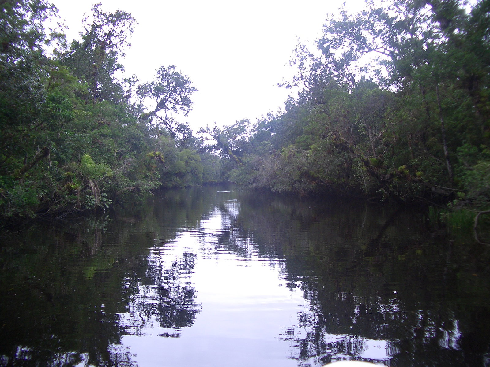 Guaratuba district
