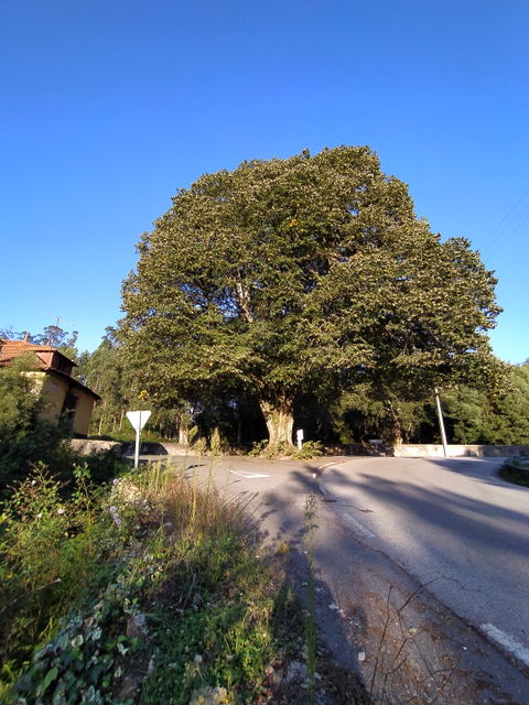 Travanca view 2