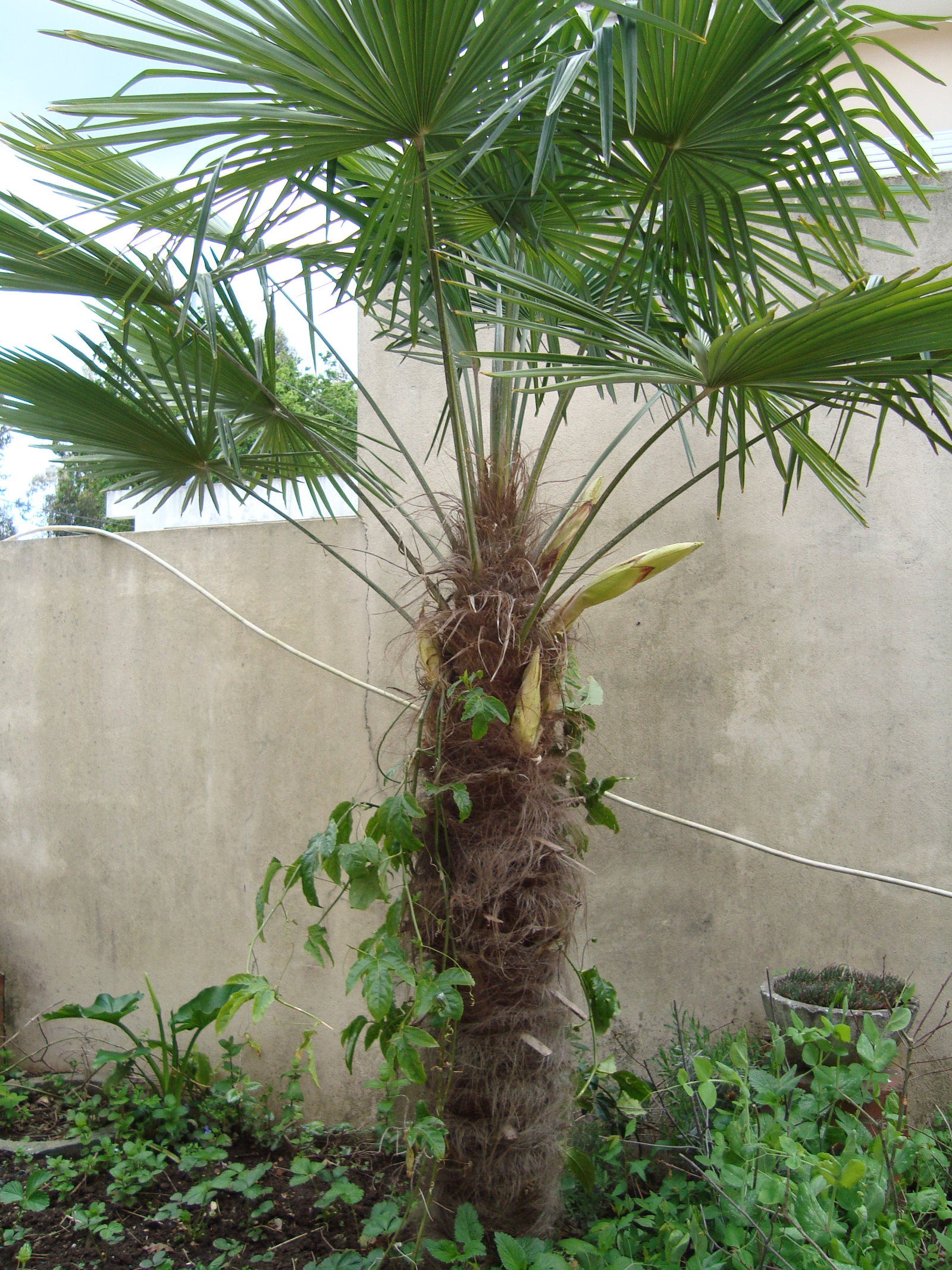 Milheirós de Poiares district