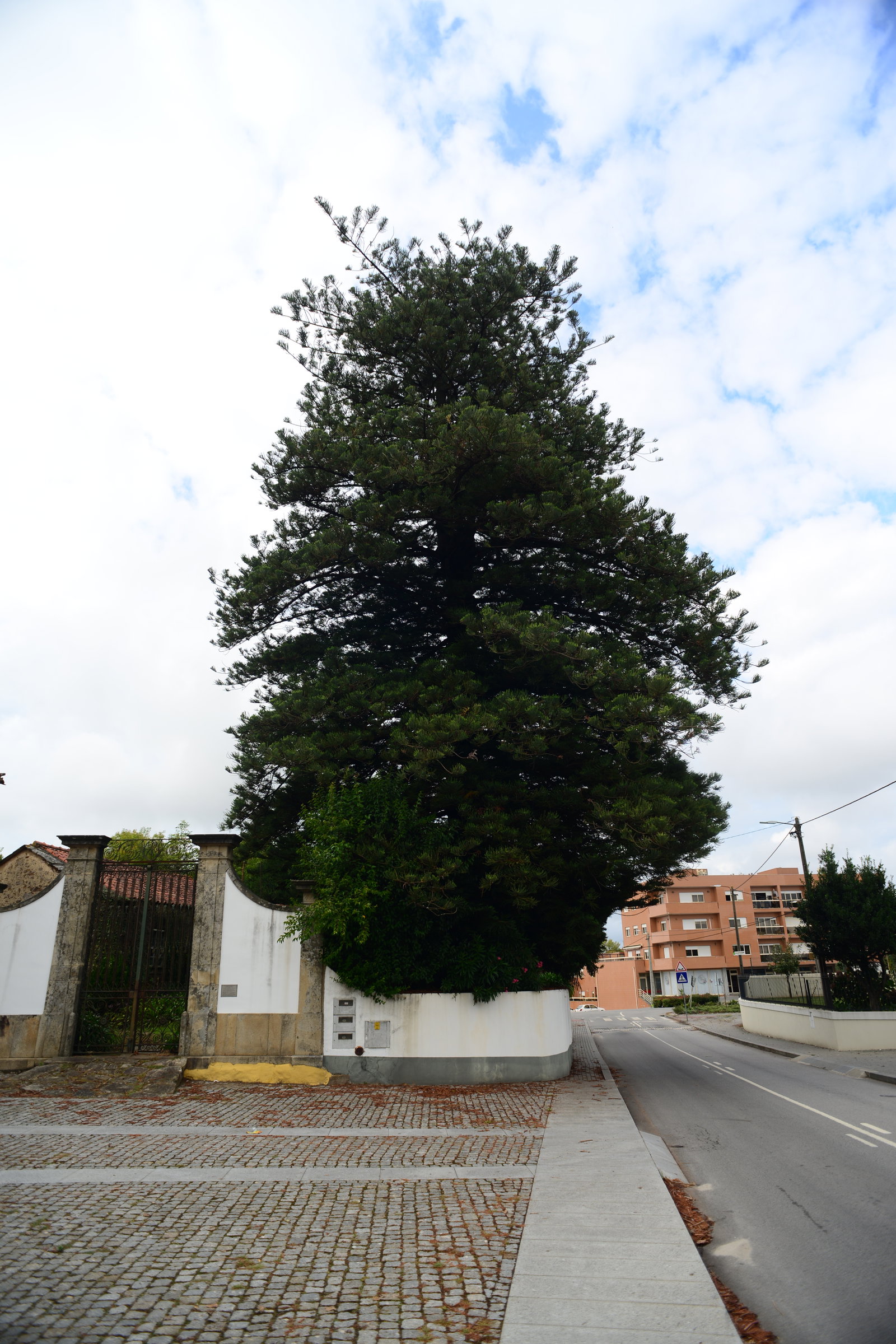Paços de Brandão district