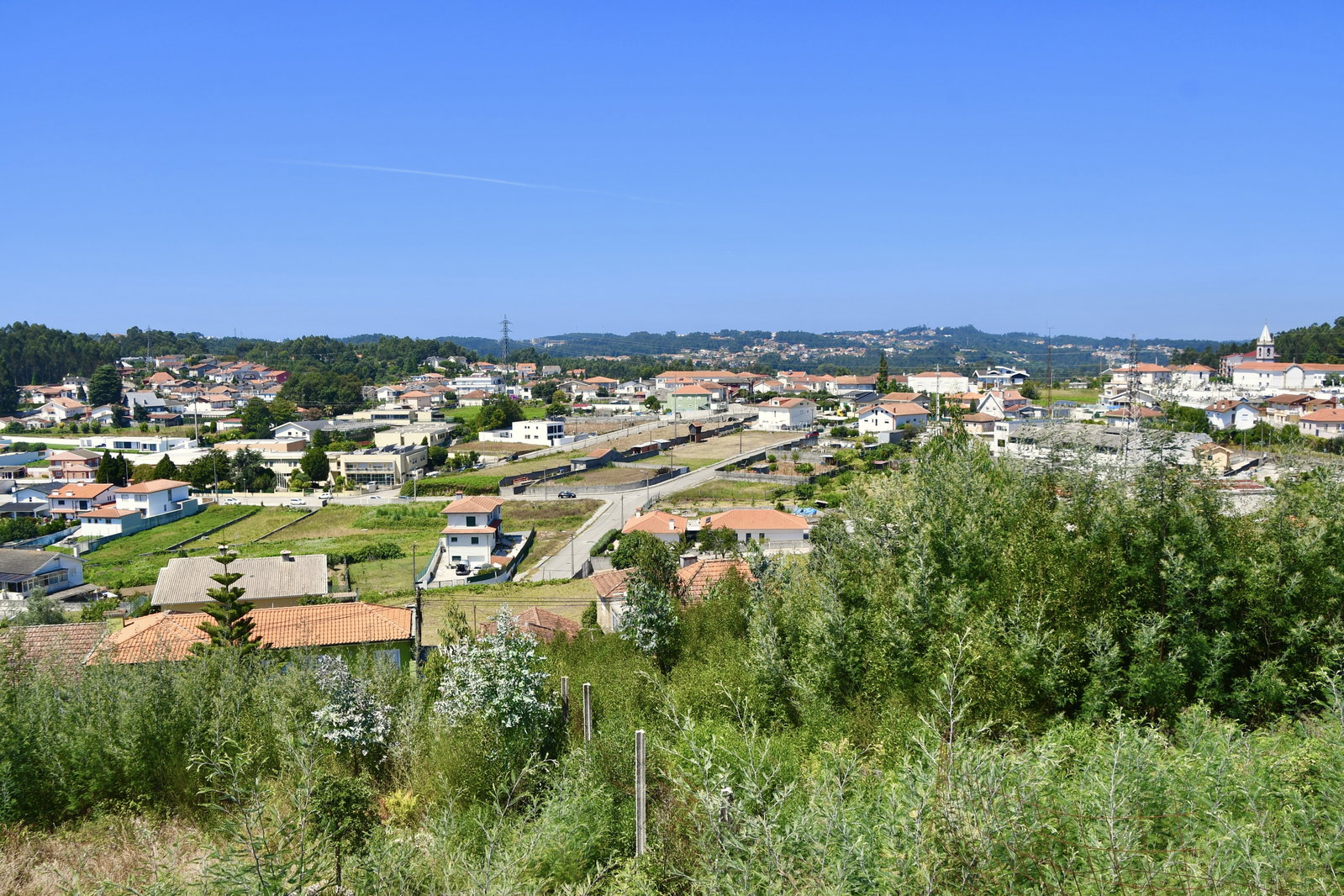 Sanguêdo district