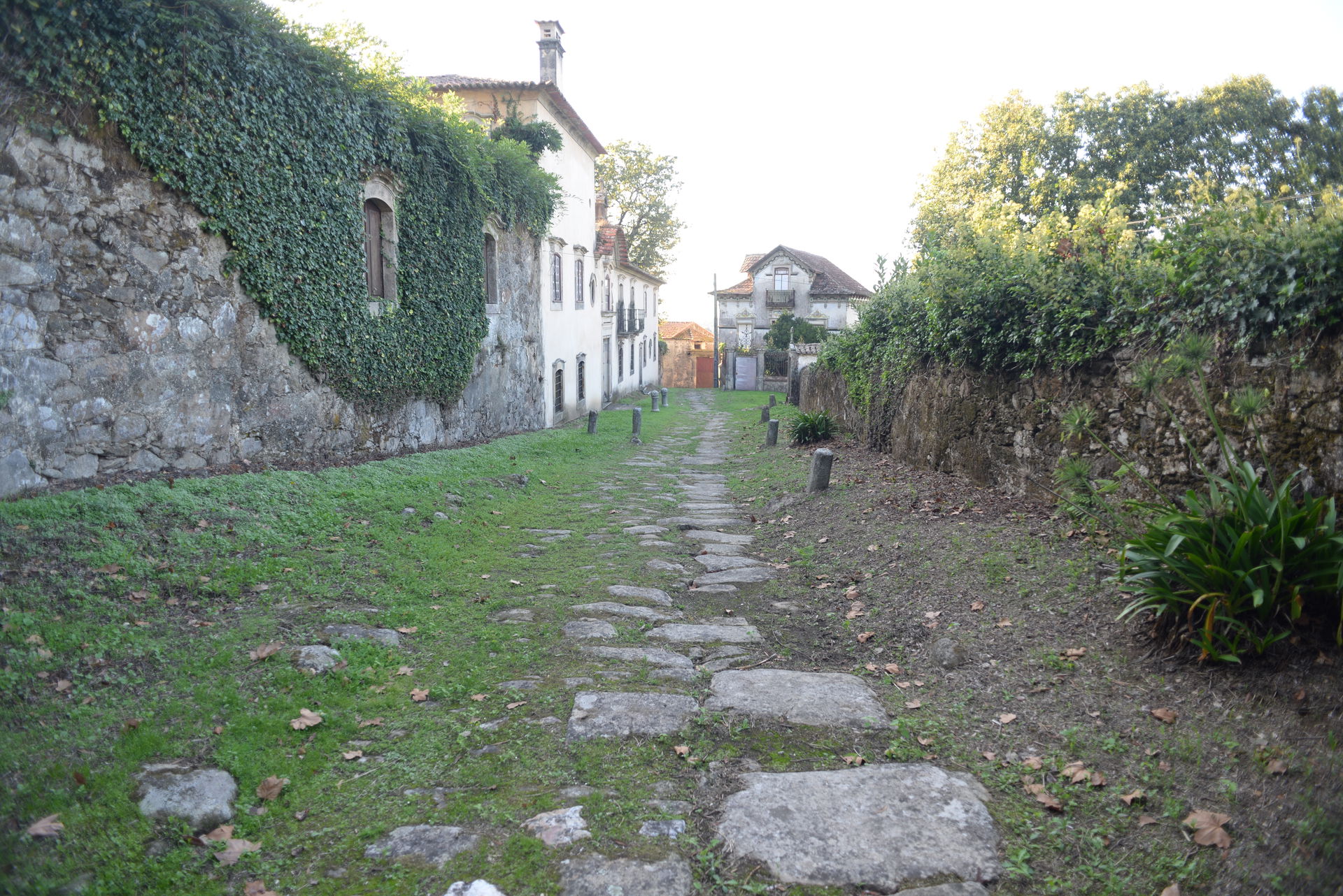 Troço da via antiga de Mosteiró - via em Santa Maria da Feira, …