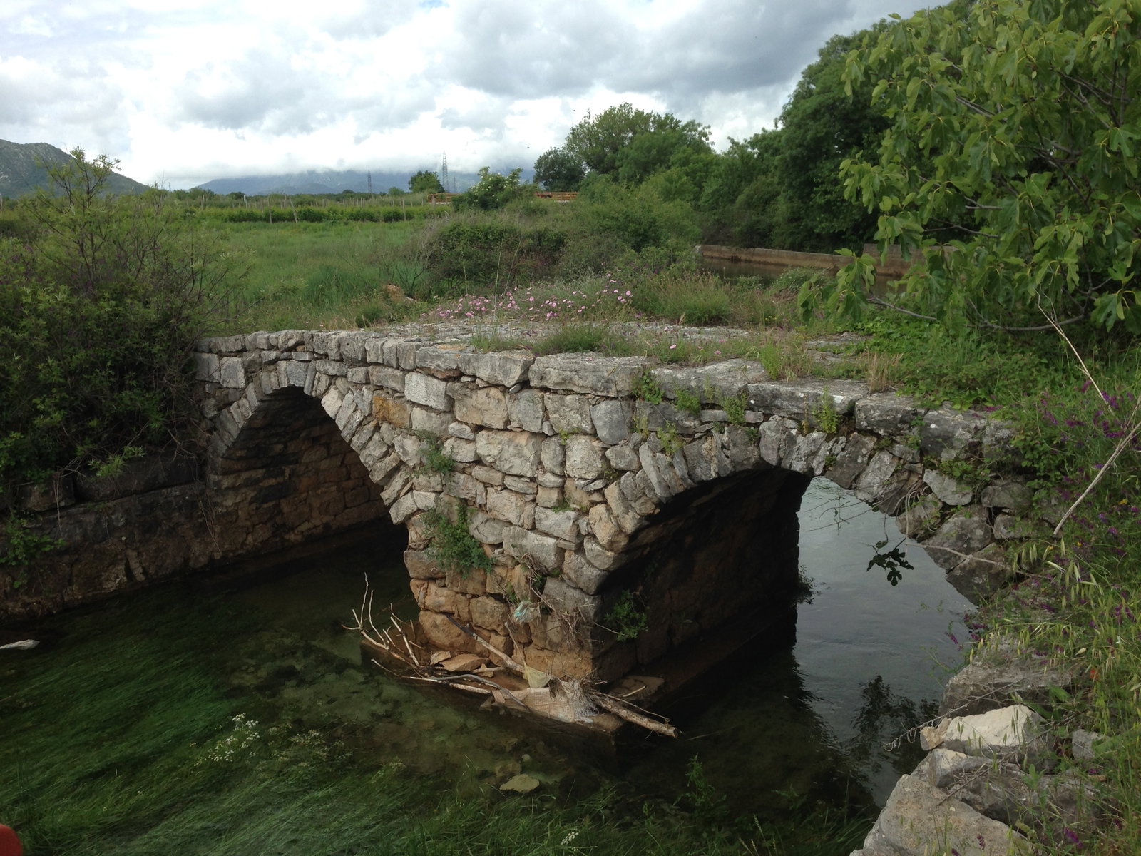 Trebinje district