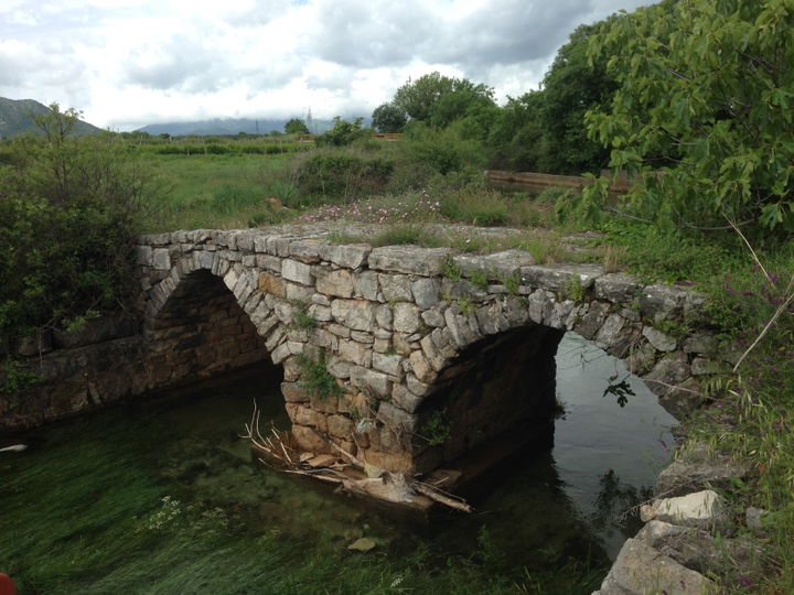 Trebinje district