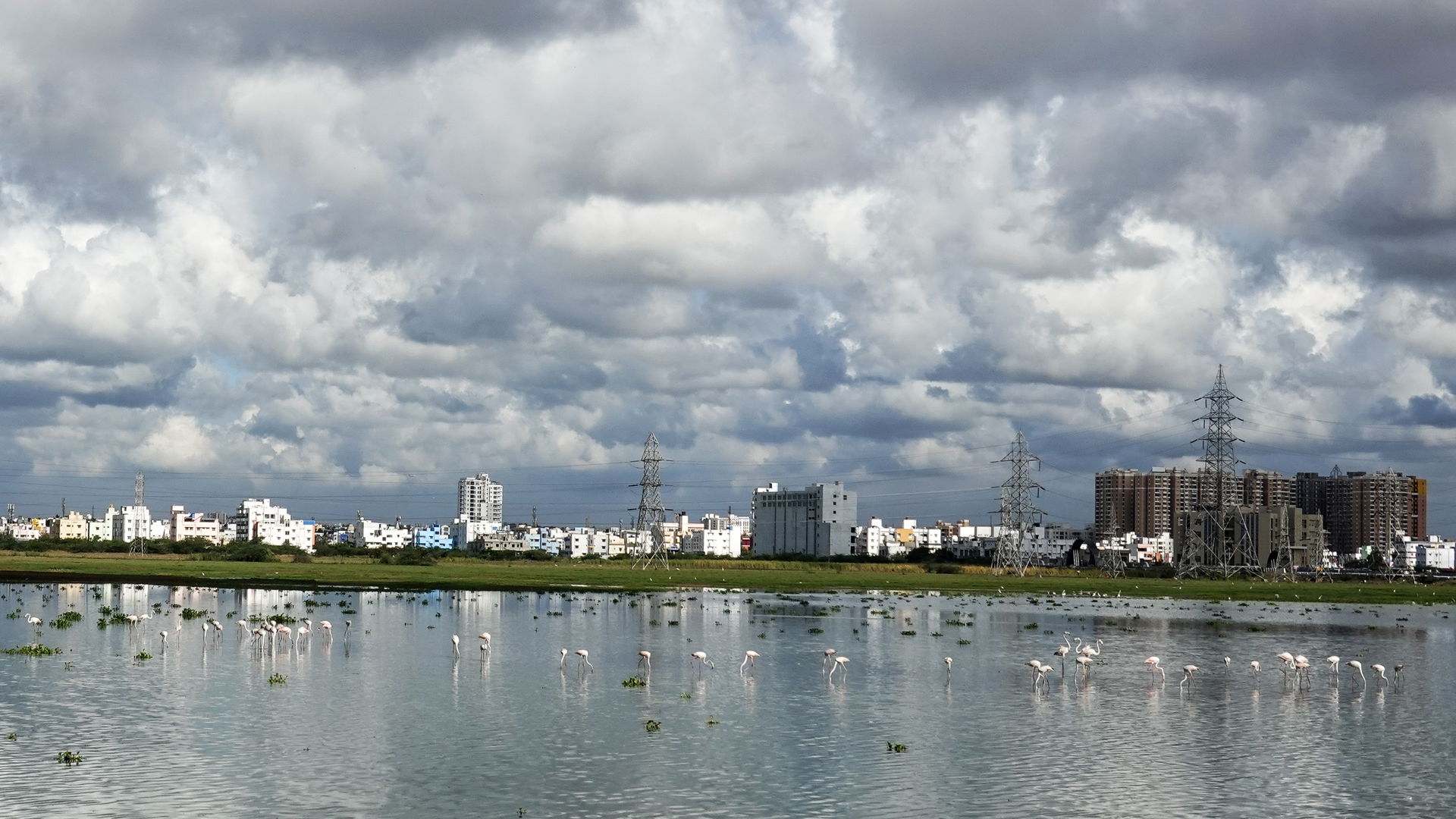 Sholinganallur view 3