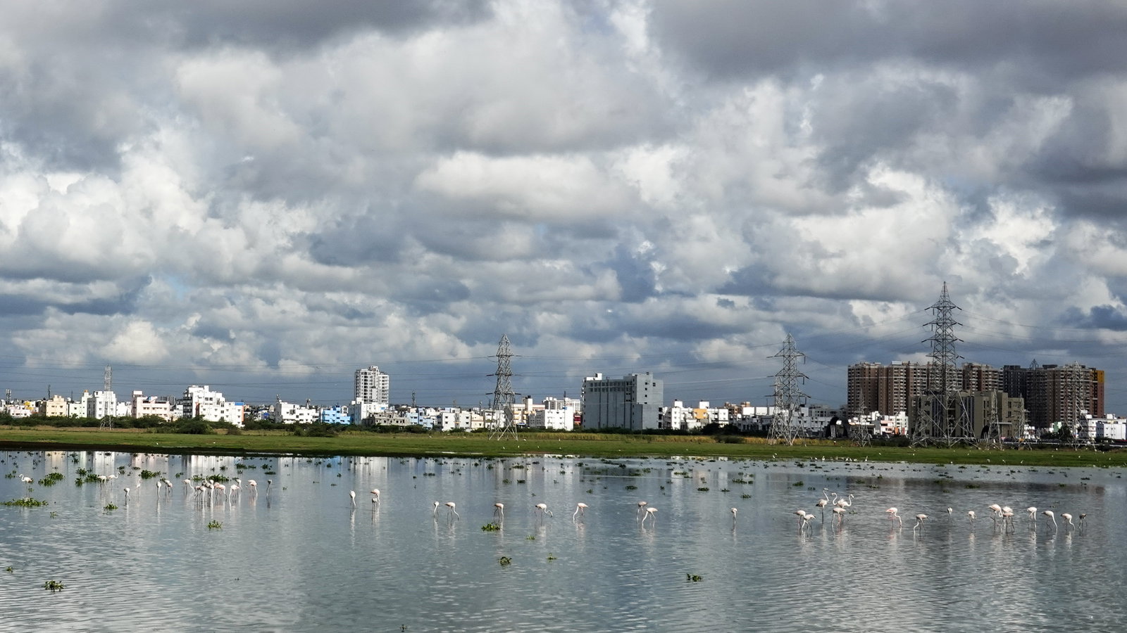 Sholinganallur district