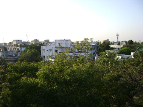 Kodambakkam view 2