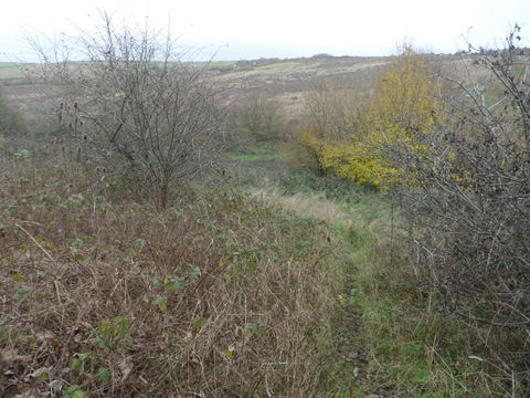 George Hill view 3