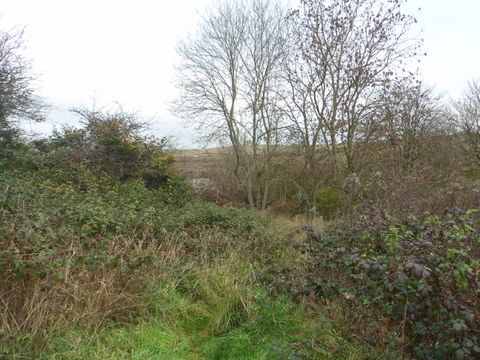 George Hill view 2