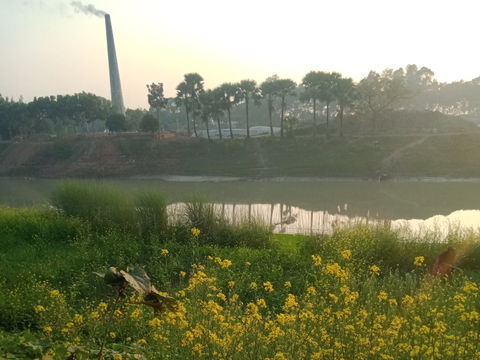 Pabna District view 1