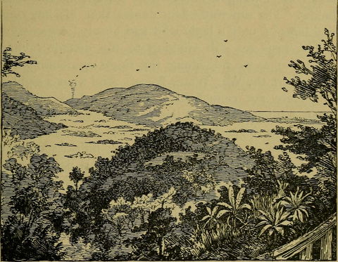 Mona view 2