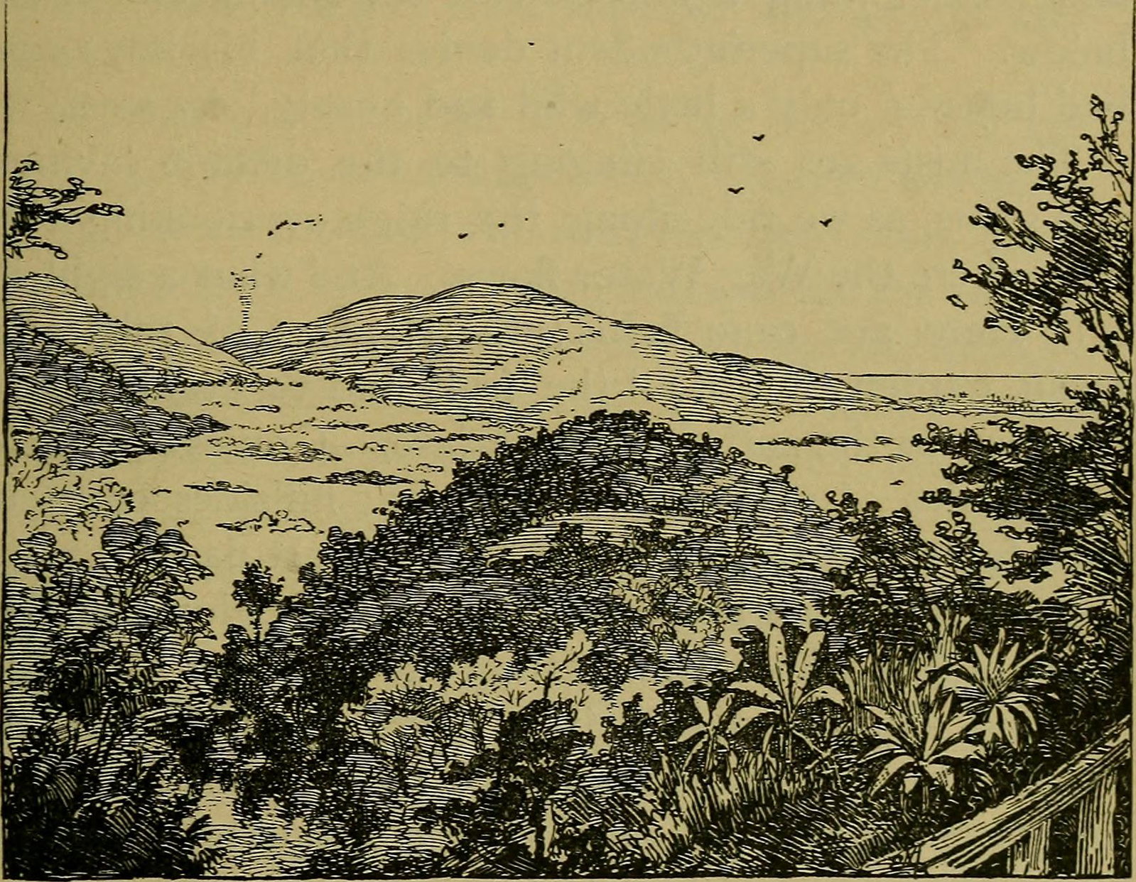 Mona district