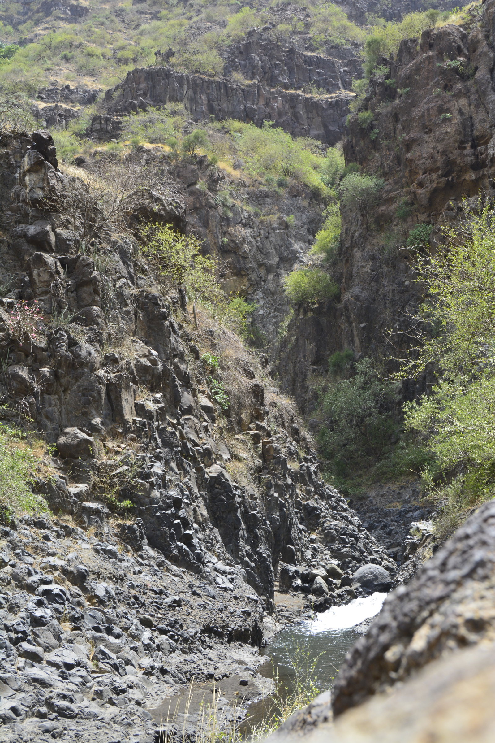 Mlimani district