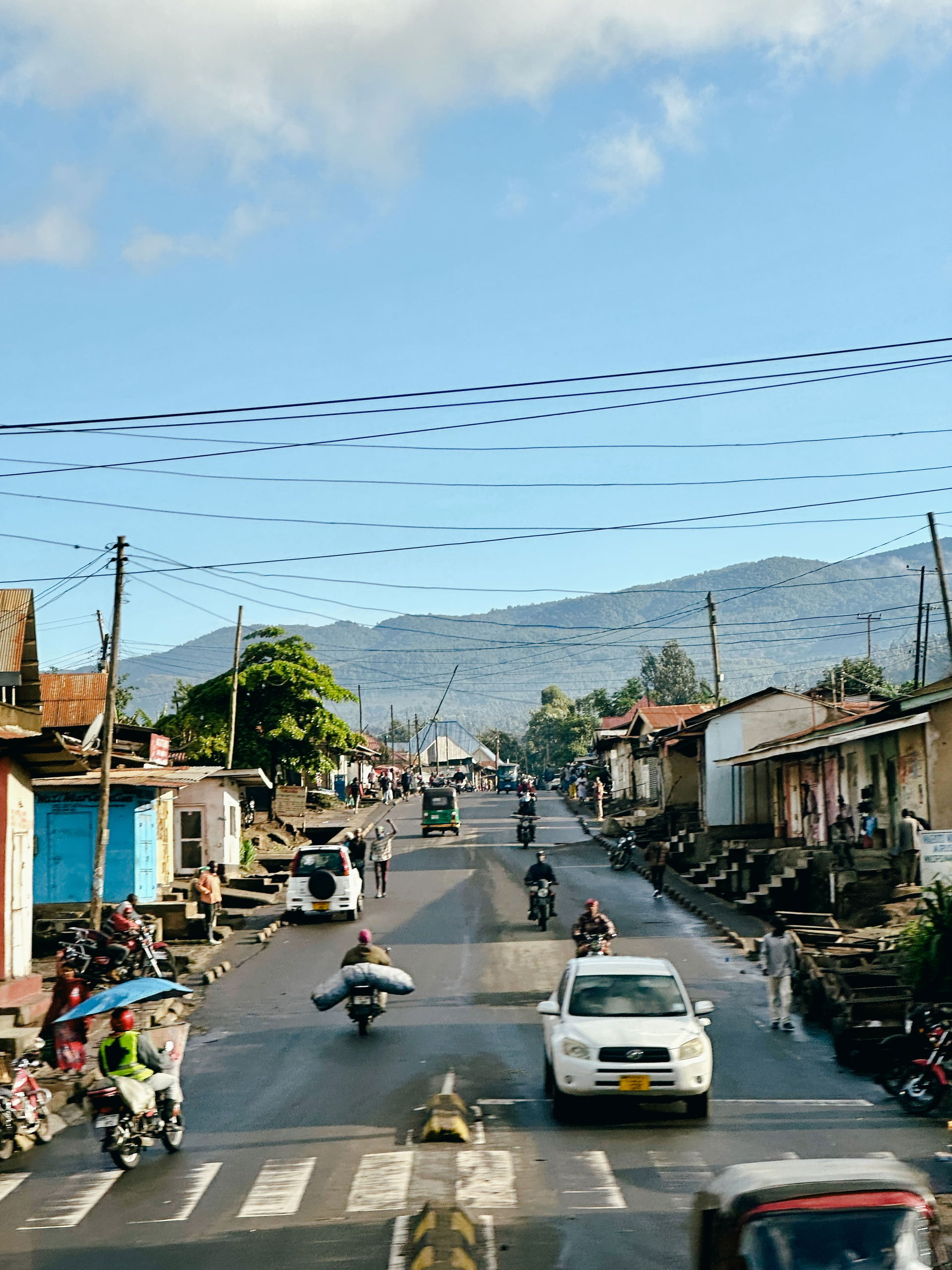 Moivo view 4