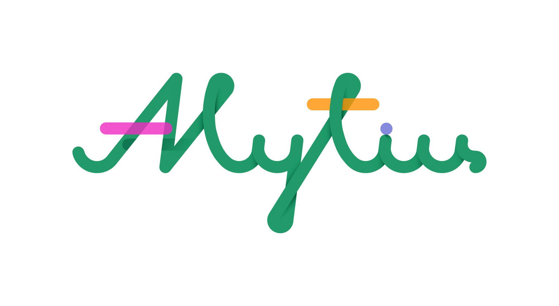 Alytus City Municipality view 1