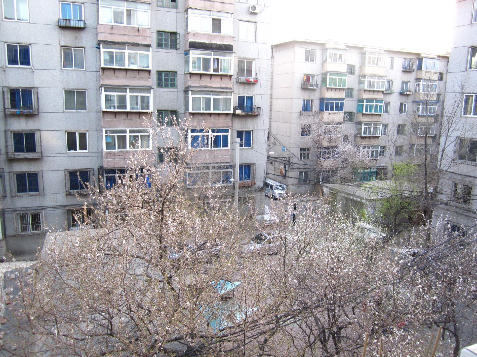 Heping District view 2