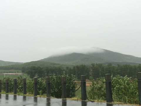 Sujiatun District view 3