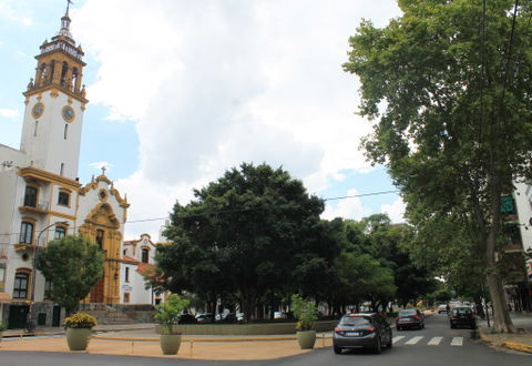 Saavedra view 2