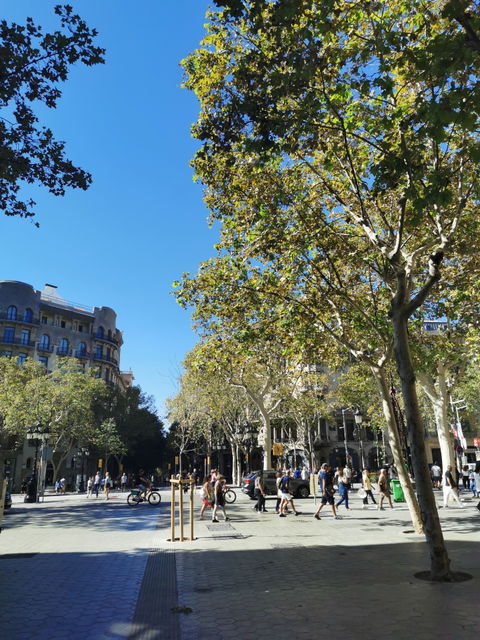 L'Eixample view 3